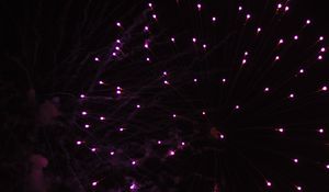 Preview wallpaper fireworks, sparks, shine, dark