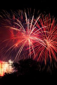 Preview wallpaper fireworks, sparks, tree, black