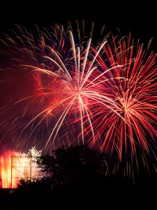 Preview wallpaper fireworks, sparks, tree, black