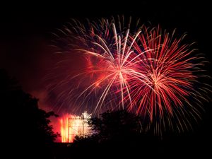 Preview wallpaper fireworks, sparks, tree, black