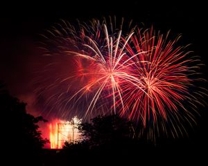 Preview wallpaper fireworks, sparks, tree, black