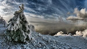 Preview wallpaper fir-tree, snow, weight, sky, clouds, blackness, steam, winter