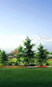 Preview wallpaper fir-trees, park, garden, lawn, birds, landscape