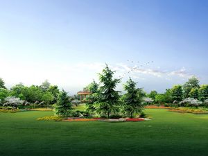Preview wallpaper fir-trees, park, garden, lawn, birds, landscape
