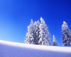Preview wallpaper fir-trees, snow, winter, mountain, eminence