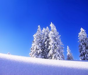Preview wallpaper fir-trees, snow, winter, mountain, eminence