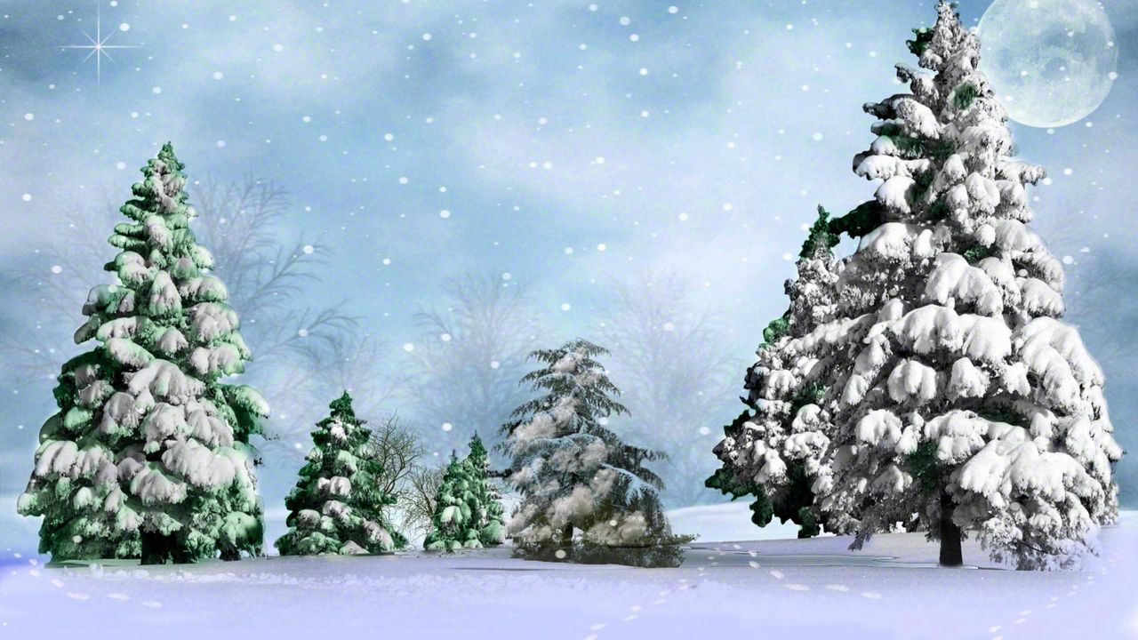 Wallpaper fir-trees, snow, winter, moon, star, sky