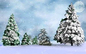Preview wallpaper fir-trees, snow, winter, moon, star, sky