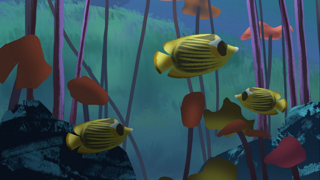 Wallpaper fish, algae, underwater, sea, art