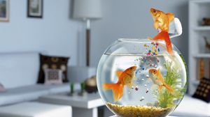 Preview wallpaper fish, aquarium, swimming, table, glass