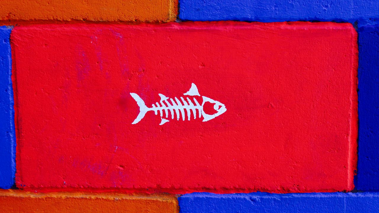 Wallpaper fish, art, wall, paint