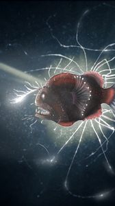 Preview wallpaper fish, electric, glowing, predator, toothy, depth