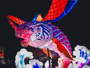 Preview wallpaper fish, fins, chinese lantern, dark