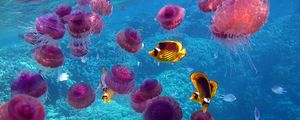 Preview wallpaper fish, jellyfish, underwater, swim
