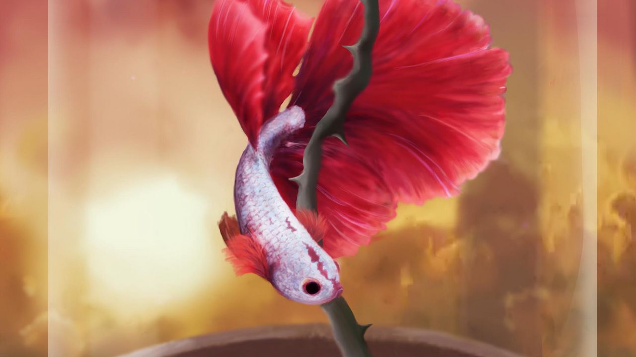 Wallpaper fish, rose, flower