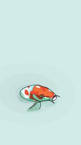 Preview wallpaper fish, water, head, colorful