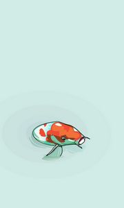 Preview wallpaper fish, water, head, colorful