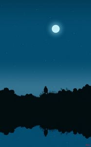 Preview wallpaper fisherman, silhouette, night, moon, art