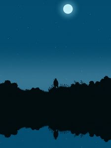 Preview wallpaper fisherman, silhouette, night, moon, art