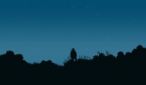 Preview wallpaper fisherman, silhouette, night, moon, art