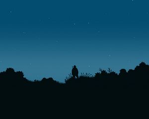 Preview wallpaper fisherman, silhouette, night, moon, art