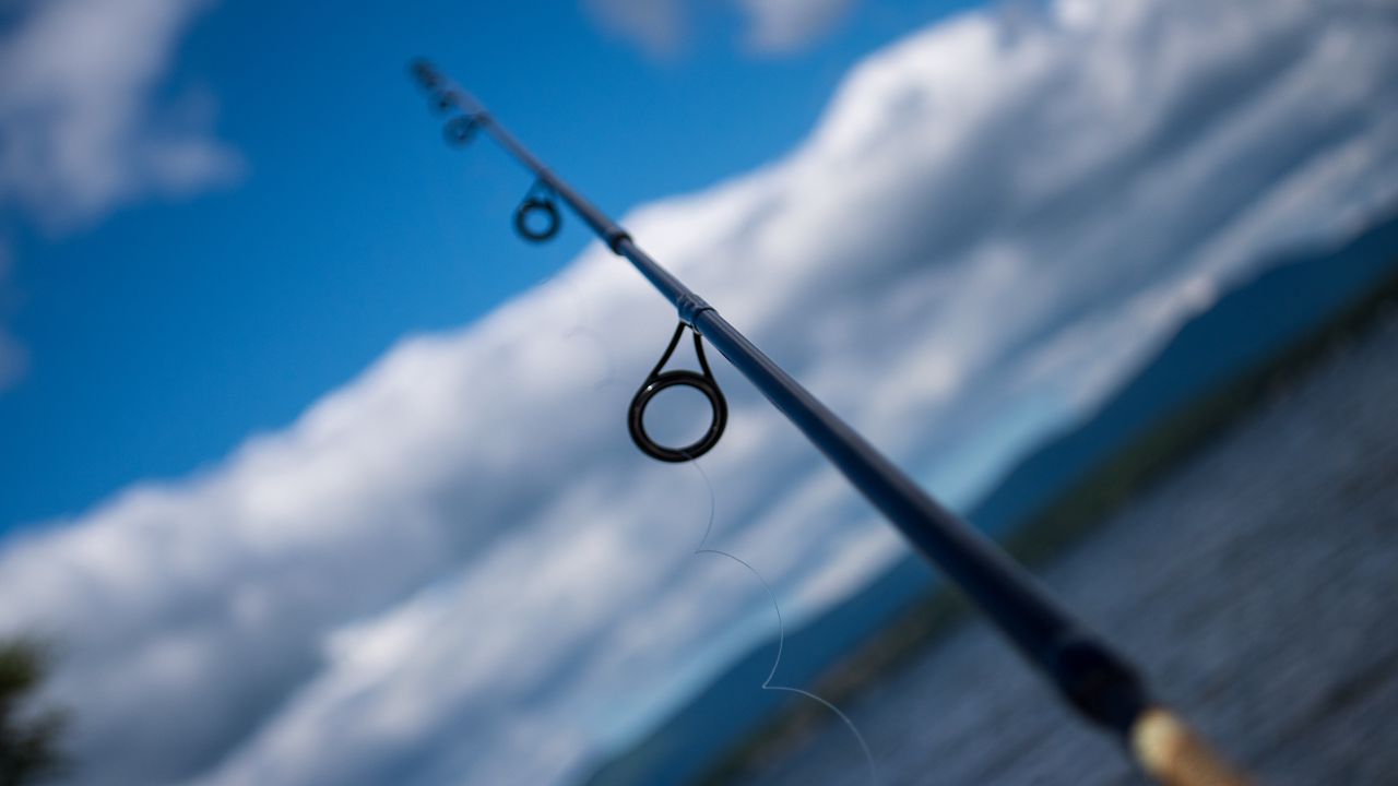 Wallpaper fishing rod, rings, blur