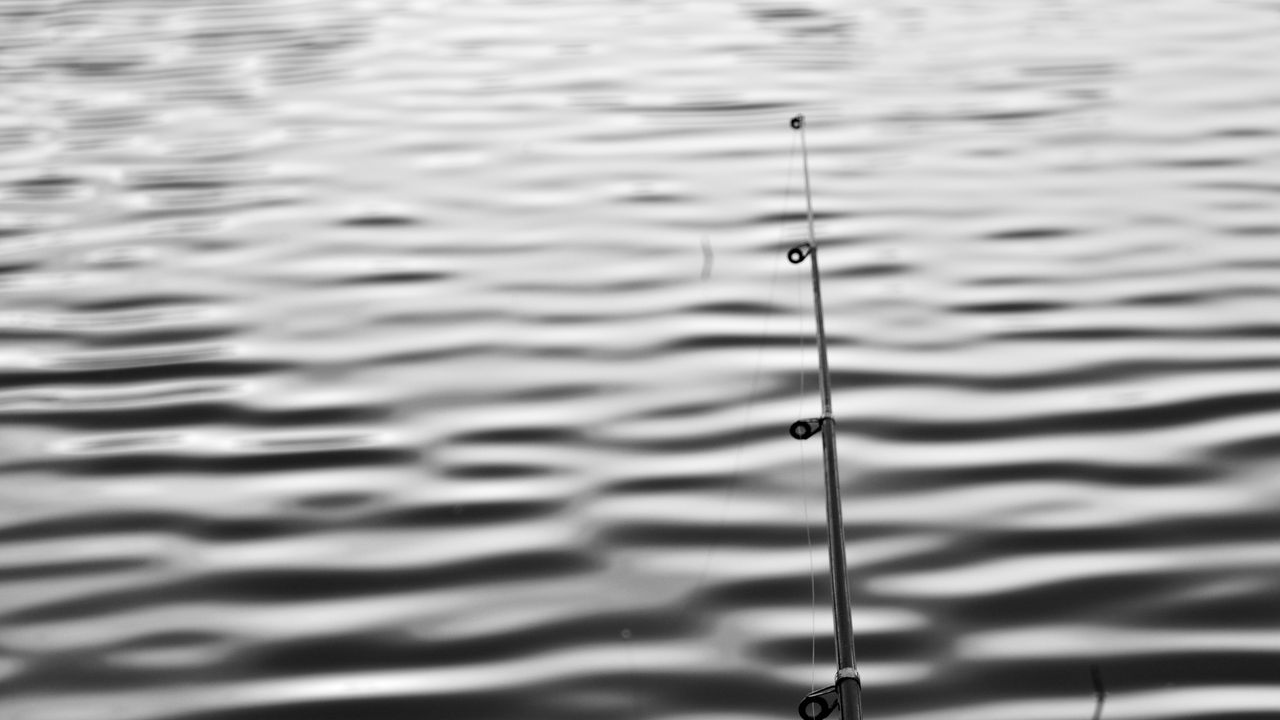 Wallpaper fishing rod, water, fishing, ripples, minimalism, black and white