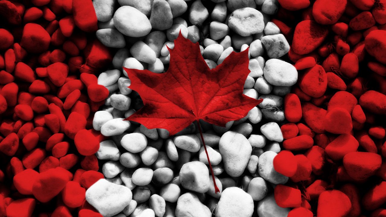 Wallpaper flag, canada, leaves, stones