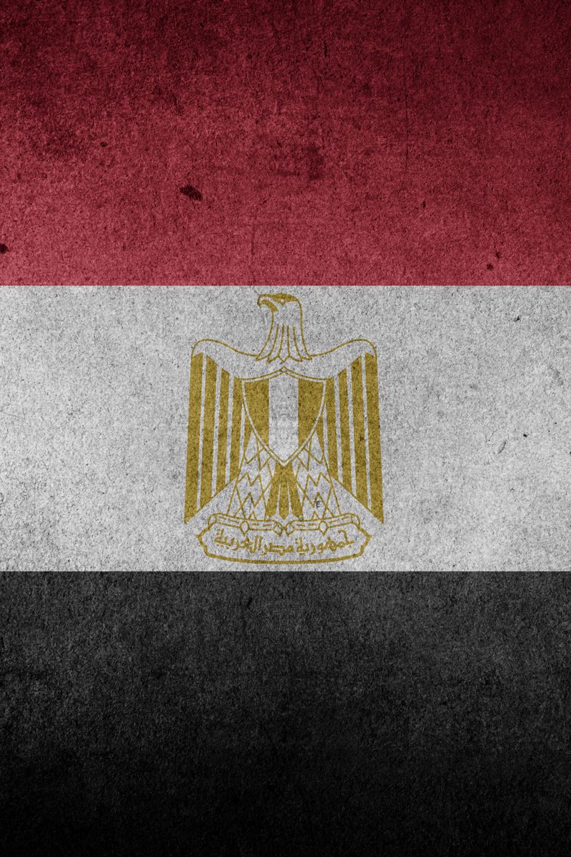 Download wallpaper 800x1200 flag, egypt, symbolism, texture iphone 4s/4 for  parallax hd background