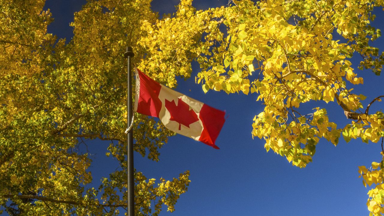 Wallpaper flag, trees, leaves, canada