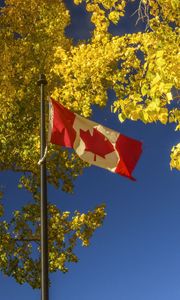 Preview wallpaper flag, trees, leaves, canada