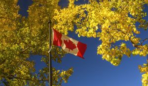 Preview wallpaper flag, trees, leaves, canada