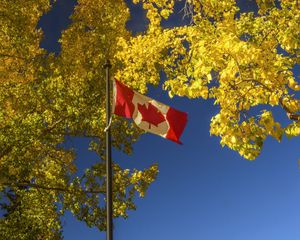 Preview wallpaper flag, trees, leaves, canada