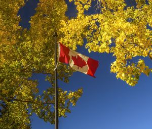 Preview wallpaper flag, trees, leaves, canada