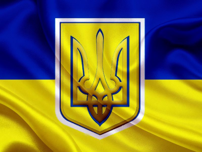 Ukraine Flag Texture Wallpaper  1440x3040