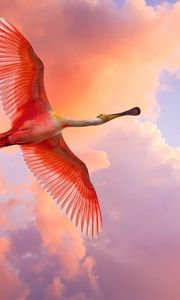 Preview wallpaper flamingo, flying, birds, sky, clouds