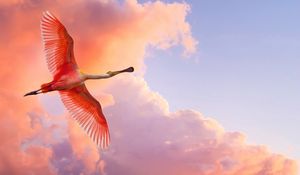 Preview wallpaper flamingo, flying, birds, sky, clouds