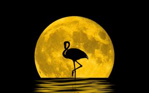 Preview wallpaper flamingo, moon, silhouette, reflection, art