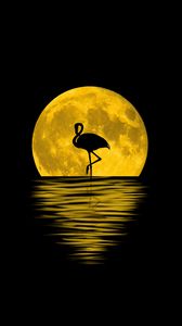 Flamingo Iphone 8 7 6s 6 For Parallax Wallpapers Hd Desktop Backgrounds 938x1668 Images And Pictures