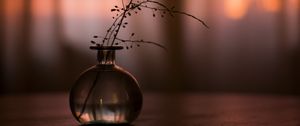Preview wallpaper flask, branch, plant, decor, dark