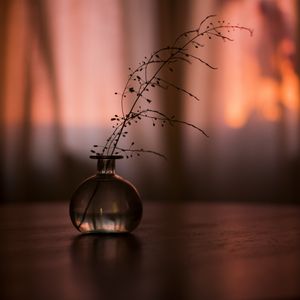 Preview wallpaper flask, branch, plant, decor, dark