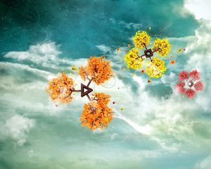 Preview wallpaper flight, flower, branch, sky, clouds, colorful
