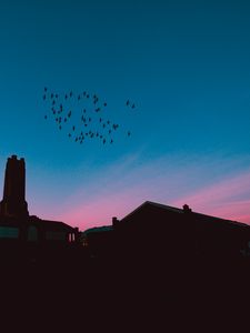 Preview wallpaper flock, birds, night, roofs