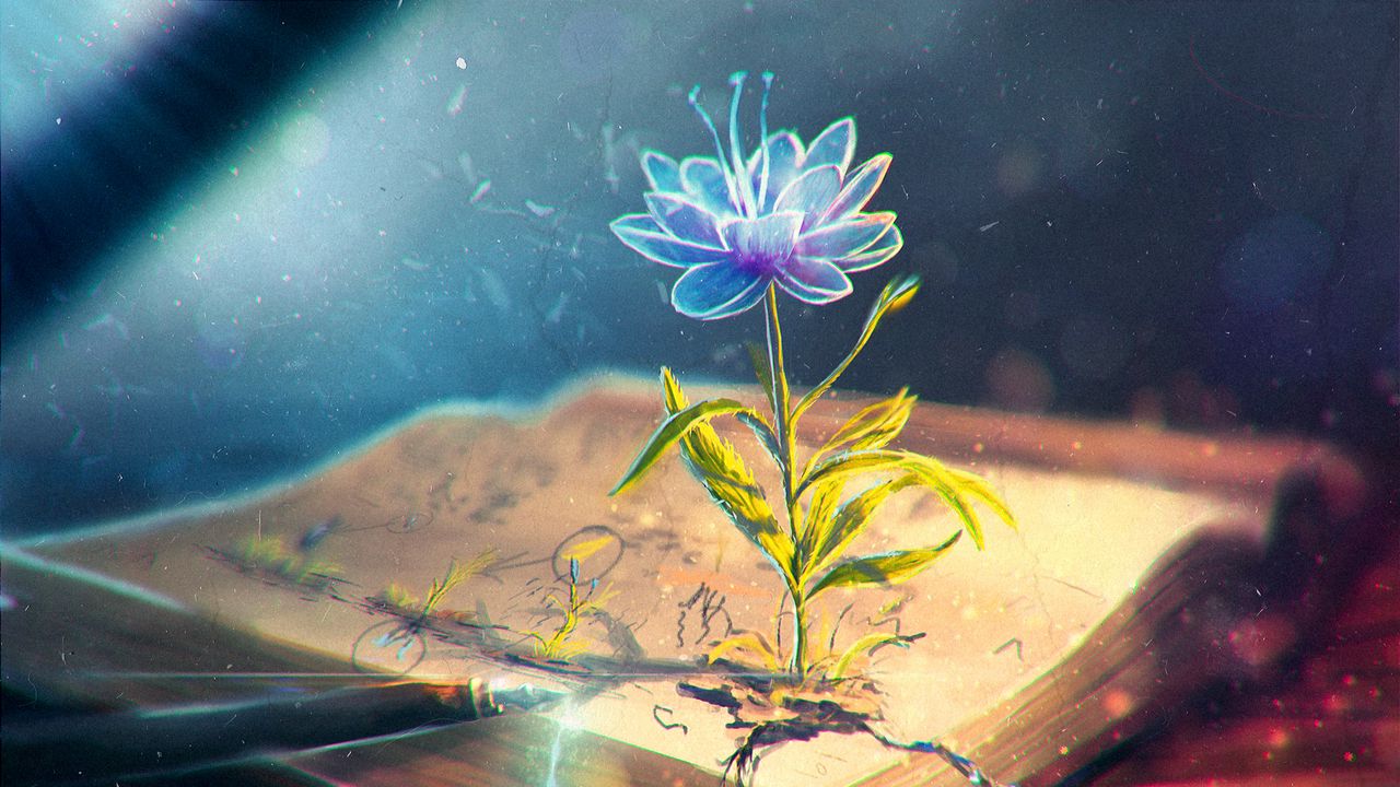 Wallpaper flower, abstract, book, pen