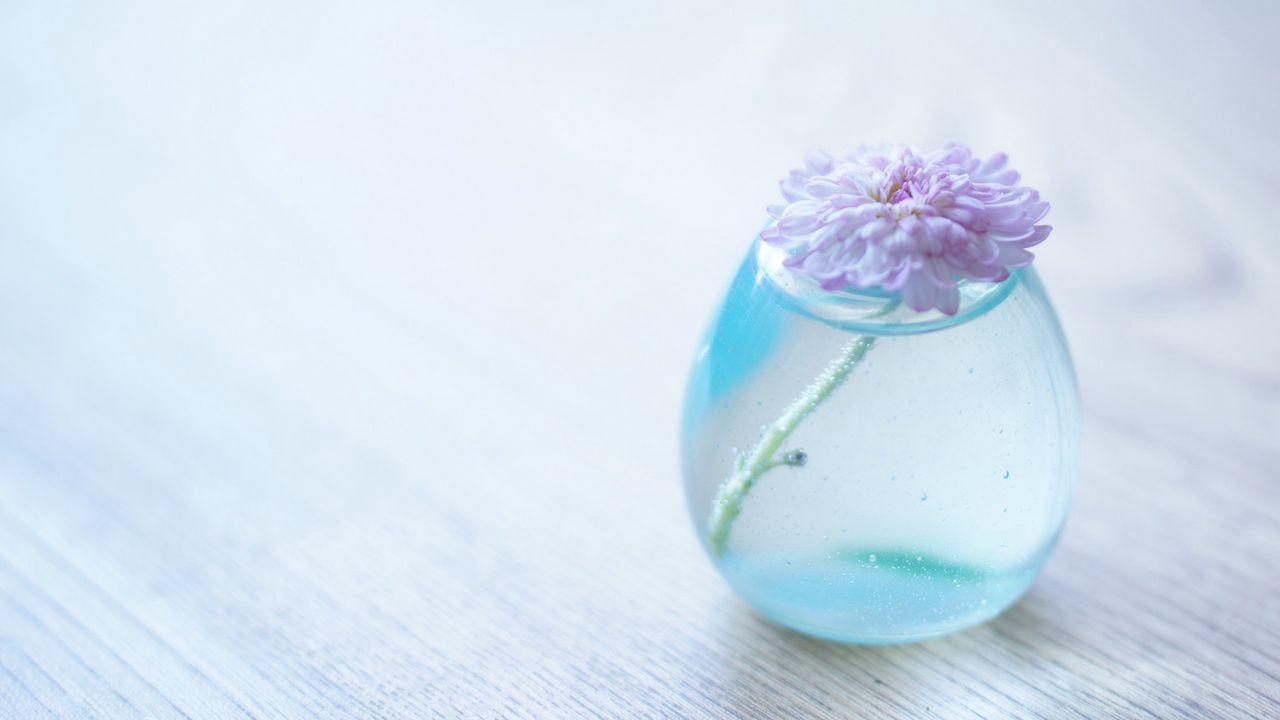 Wallpaper flower, bank, glass, vase