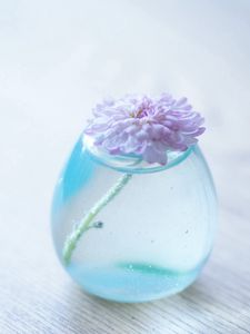 Preview wallpaper flower, bank, glass, vase