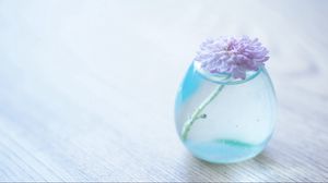 Preview wallpaper flower, bank, glass, vase