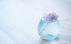 Preview wallpaper flower, bank, glass, vase