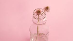 Preview wallpaper flower, bank, stem