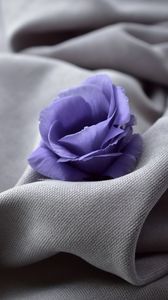 Preview wallpaper flower, blue, fabric, closeup